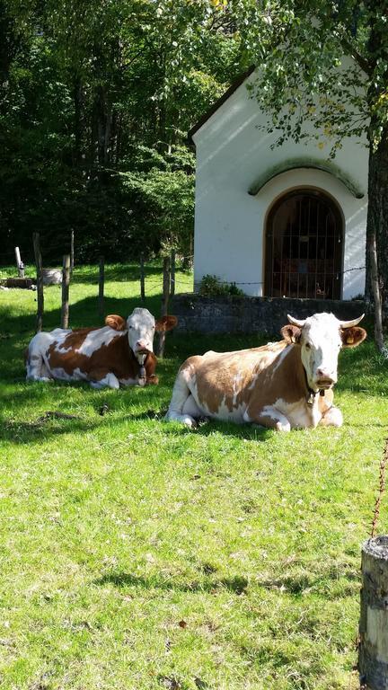 Aparthotel Alpenpark Kochel am See Exterior foto